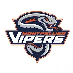 Nos partenaires : les VIPERS